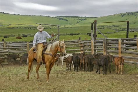 </strong> Leverage your professional. . Craigslist farm and ranch